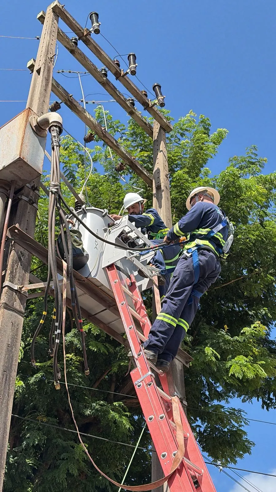 Equipe da Avolve em serviço na rede elétrica aérea